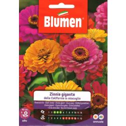 Blumen Kaliforniai óriás vasvirág vetőmag