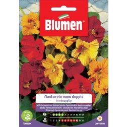 Blumen T&ouml;rpe duplabojtfű vetőmag