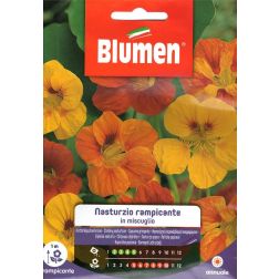 Blumen Sarkantyúka vetőmag