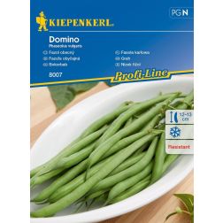 Kiepenkerl Domino bokorbab vetőmag N