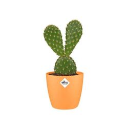Elho Brussels Round Mini Sunrise Orange műanyag növénytartó 12,5 cm