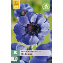 JUB Anemone coronaria mr. fokker kék szellőrózsa virághagyma 15 darab