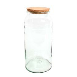 Félig nyitott florárium L (AGG70)
