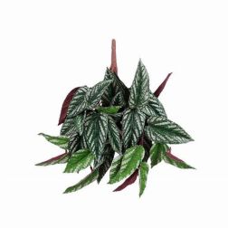 Mica Pilea cadierei függő pirosban 35 x 22 x 22 cm