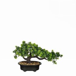 Mica Bonsai zöld műnövény cserépben 33 x 13 x 21 cm