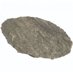 Scherf Kvarcit tipegő Természetes kő, hasított, kézzel pattintott Szürke-zöld, 25-40 cm x ma 2,5-3,5 cm 1 db (ca. 7,8 kg)