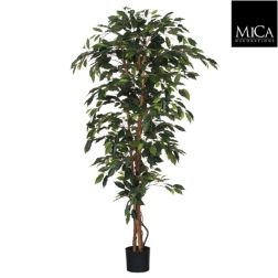 Ficus műnövény kaspóban 180x100 cm