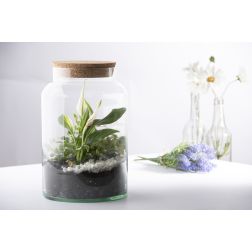 Henger alakú florárium parafa tetővel, 6,2 literes
