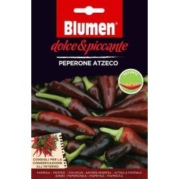 Blumen Peperone Azteco, cs&iacute;pős azt&eacute;k pepper&oacute;ni chili paprika vetőmag