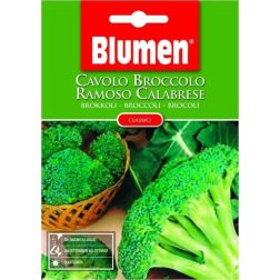Blumen Calabriai brokkoli vetőmag