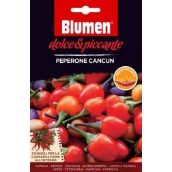 Blumen Peperone Cancun, nagyon csípős pepperóni chili paprika vetőmag