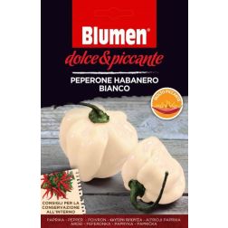 Blumen Peperone Habanero Bianco, extrém csípős fehér habanero chili paprika vetőmag