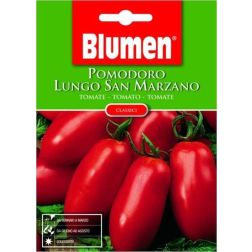 Blumen Hossz&uacute; San Marzano paradicsom vetőmag