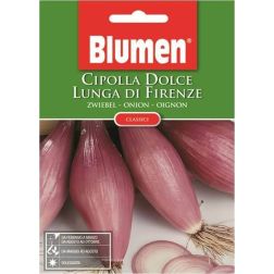 Blumen Hosszúkás édes firenzei hagyma vetőmag