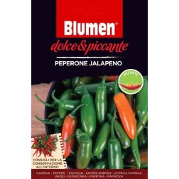 Blumen Peperone Jalapeno, cs&iacute;pős jalapeno chili paprika vetőmag