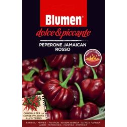 Blumen Peperone Jamaican Rosso, extr&eacute;m cs&iacute;pős jamaikai v&ouml;r&ouml;s pepper&oacute;ni chili paprika vetőmag