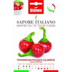 Blumen Kalabriai csípőspaprika vetőmag– Capsicum annuum L. – CALABRIA régió