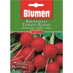 Blumen Kerek, piros retek vetőmag