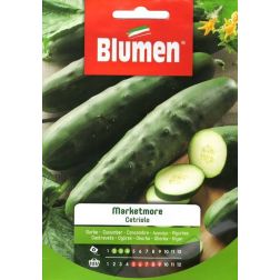 Blumen K&iacute;gy&oacute;uborka vetőmag