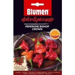 Blumen Peperone Bishop Crown, nagyon csípős koronás püspök pepperóni chili paprika vetőmag