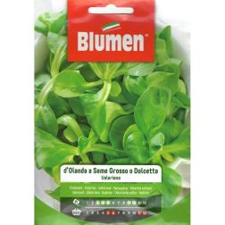 Blumen D'olanda a seme grosso o dolcetta madárbegy vetőmag