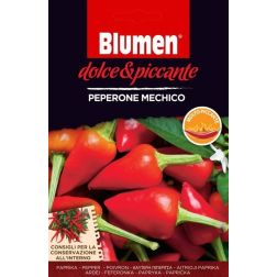 Blumen Peperone Mechico, nagyon csípős mexikói pepperóni chili paprika vetőmag
