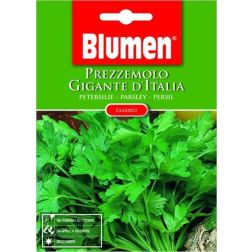 Blumen Olasz &Oacute;ri&aacute;spetrezselyem vetőmag