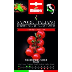 Blumen Paradicsom Elixír HIBRID (Elisir Solanum lycopersicum L. F1) vetőmag