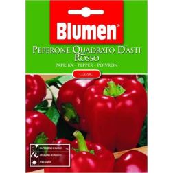 Blumen D&acute;Asti Paprika &ndash; v&ouml;r&ouml;s sz&ouml;gletes vetőmag