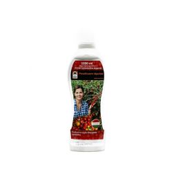 Oázis paradicsom tápoldat 1000 ml