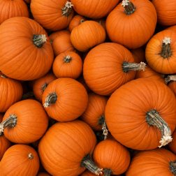 Halloweeni faragnival&oacute; t&ouml;k 