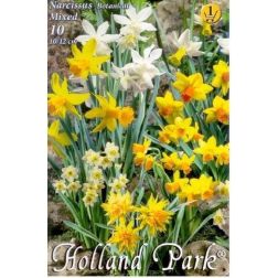 Narcissus botanical mixed vegyes színű nárcisz virághagyma 10 darab