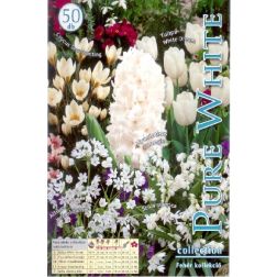 Pure white collection fehér virághagyma összeállítás 50 darab