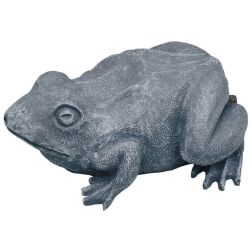 Oase vízköpő béka