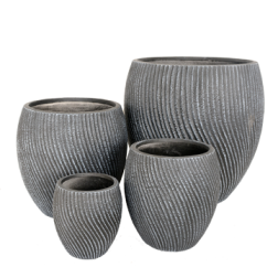 NDT Newcastle 55G 21/H21