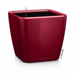 Lechuza QUADRO Premium Kivehető Be Ővel Scarlet Red High Gloss LS műanyag n&ouml;v&eacute;nytart&oacute; 21 cm