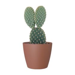 Artevasi San Remo Matte 6 cm műanyag kaspó Terracotta