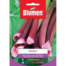 Blumen Rebarbara vetőmag