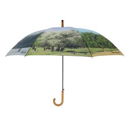 Négy évszak esernyő, 120 cm átmérőjű