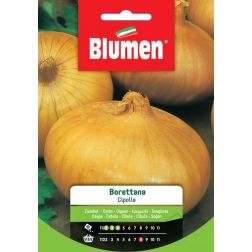 Blumen Borettana hagyma vetőmag