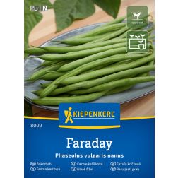 Kiepenkerl Faraday Bokorbab vetőmag
