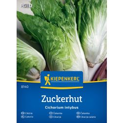 Kiepenkerl Zuckerhut Cikóriasaláta vetőmag