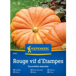 Kiepenkerl Rouge vif d'Etampes Sütőtök vetőmag