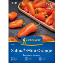Kiepenkerl Salma-Mini Orange®, F1 Snack-paprika vetőmag
