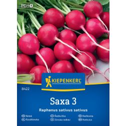 Kiepenkerl Saxa 3 Hónapos retek vetőmag