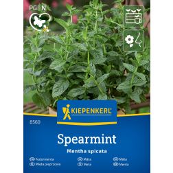 Kiepenkerl Spearmint Menta vetőmag