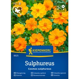 Kiepenkerl színkeverék Sárga pillangóvirág vetőmag