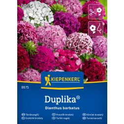 Kiepenkerl Duplika-Mix Törökszegfű vetőmag
