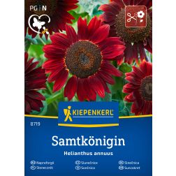 Kiepenkerl Samtkönigin Napraforgó vetőmag