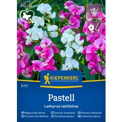 Kiepenkerl Pastell Mischung Nagyvirágú lednek (évelő) vetőmag